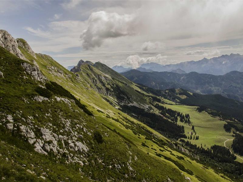 花开见佛<br>lyd4nhjn.cn 刹那顿悟时刻